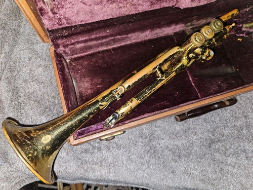 Tromba Roth Reynolds, USA, con custodia e MP, buone condizioni di riproduzione - Foto 12 di 17