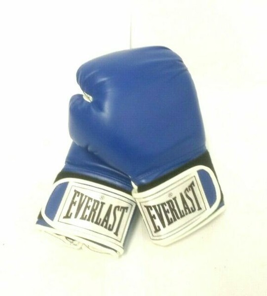 Everlast Boxing Gloves 12OZ Pro Style Training Everfresh Blue for sale online eBay