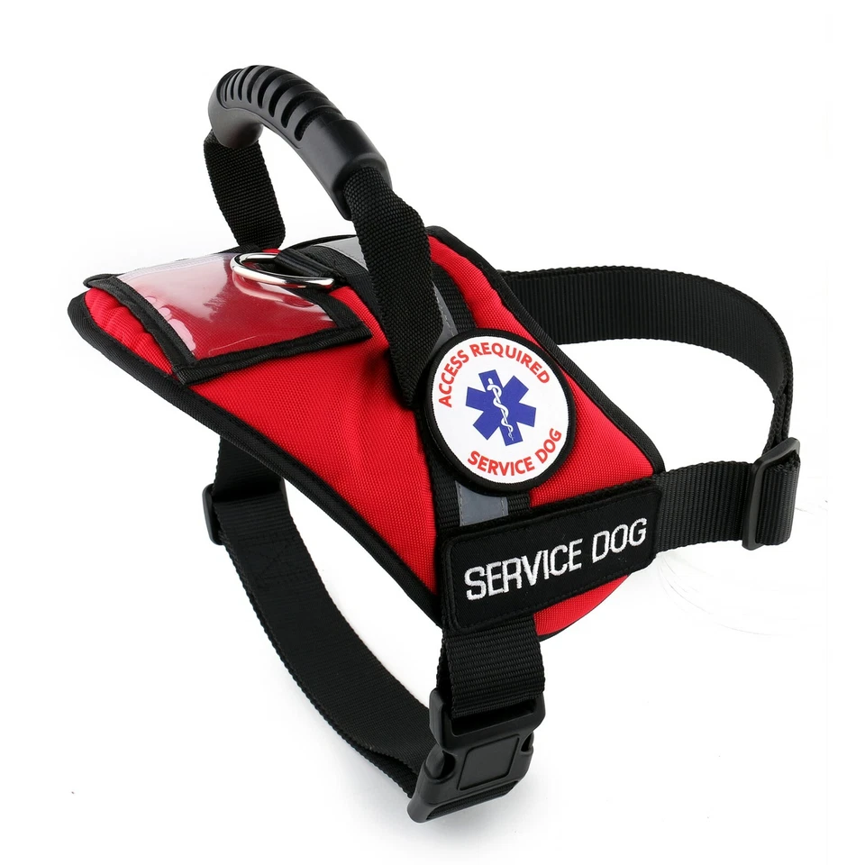 Service Dog Harness Vest Reflective - Patches - Waterproof ALL ACCESS CANINE™ - Image 3 of 4