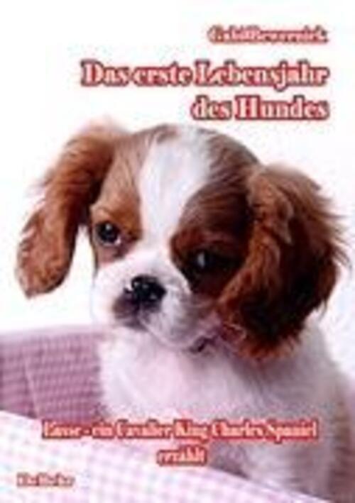 Thumbnail - Das Erste Lebensjahr Des Hundes Lasse - Ein Cavalier King Charles