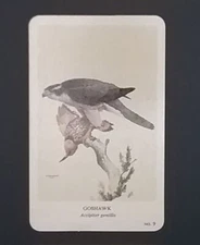 General Cigar Company Trading Card - No. 9 Goshawk - Card 1