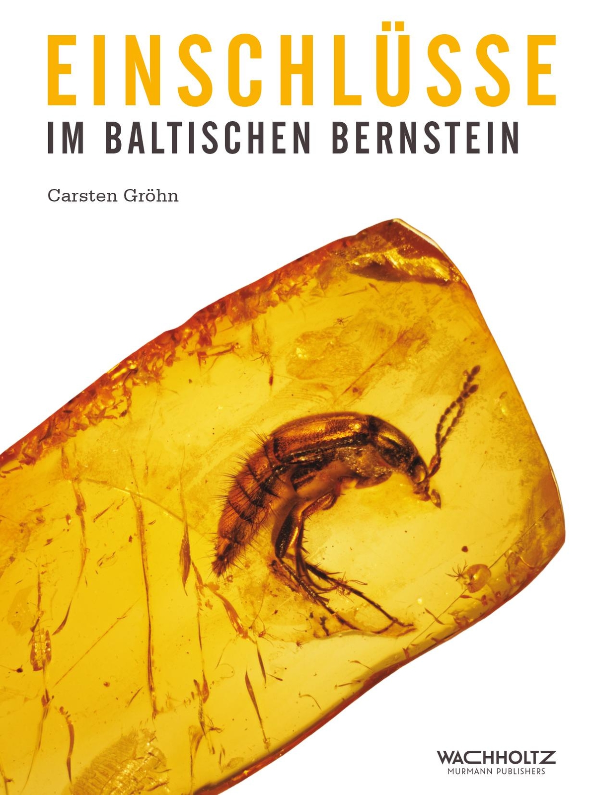 Thumbnail - Einschlüsse Baltischen Bernstein | Gröhn, Carsten