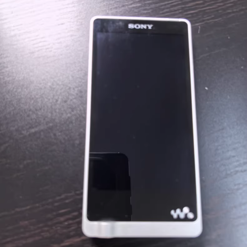 Nwz Zx1 Specs NW-ZX1 Hi-Res Portable Player – 128GB, Silver