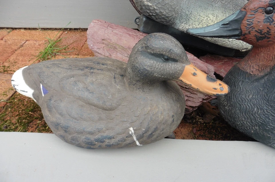 4 Decoy Ducks Drake Mallard Plastic Hunting Canvasback Italy Carry Lite geese - Image 2 of 4