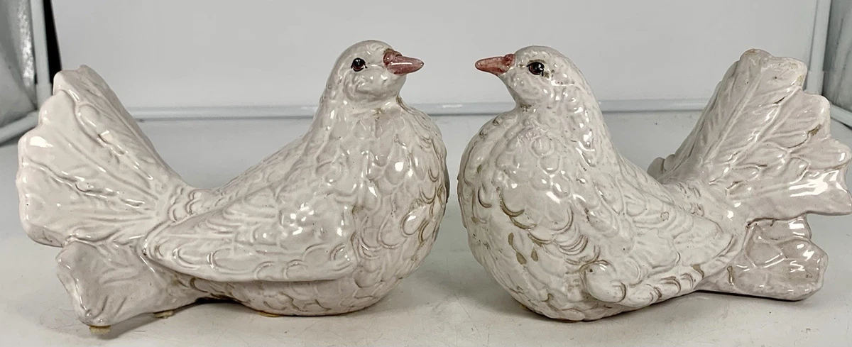 鸽子和鸽子收藏品| eBay