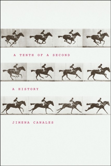 A Tenth of a Second by Jimena Canales - 9780226093192 - Image 4