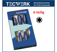 Schraubendrehersatz 6-Teilig Torx Mehrkomponentengriffe Rundklinge Tecwerk