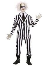 Beetlejuice: Adult Costume