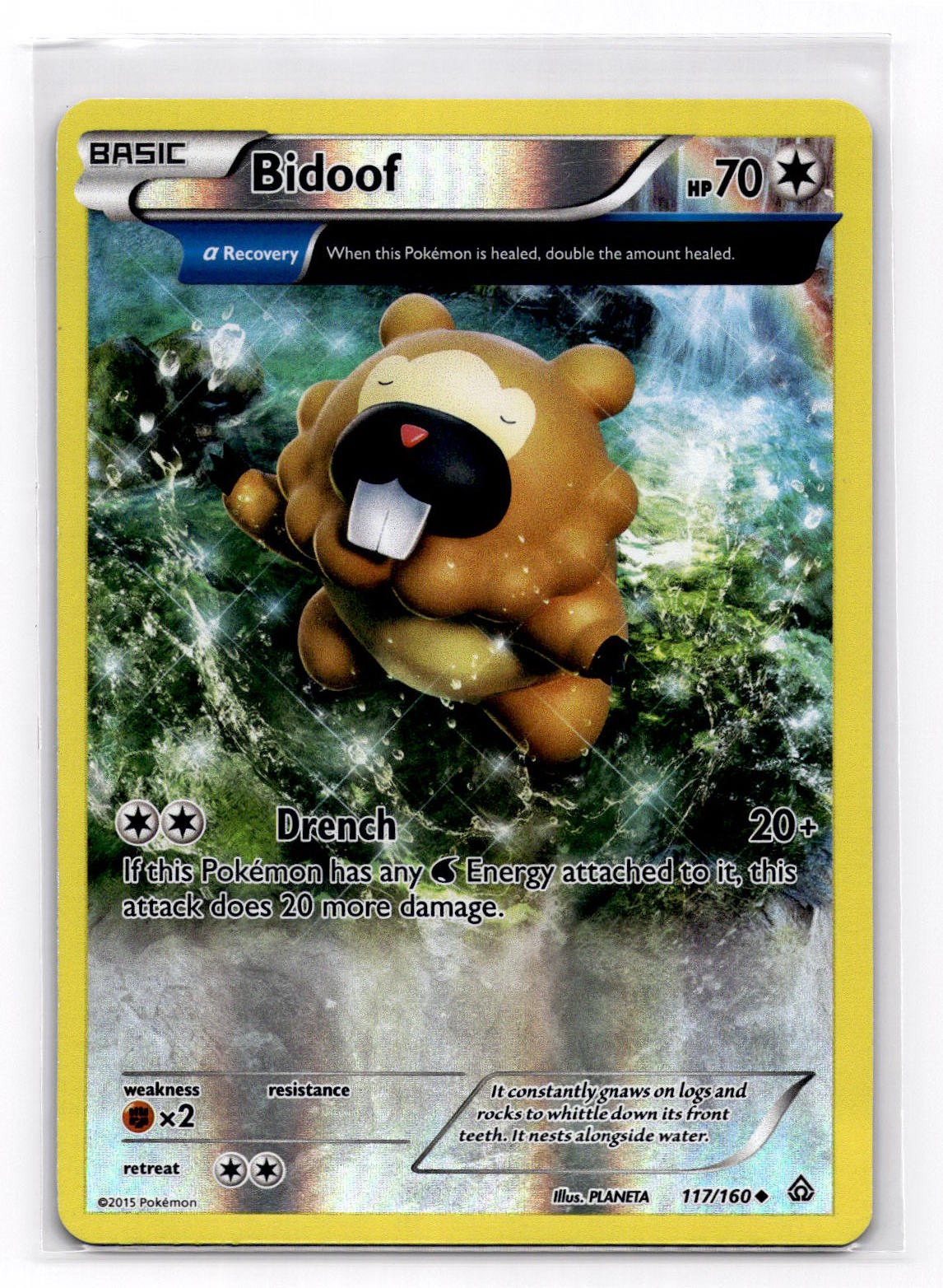Bidoof (Alpha) Uncommon XY - Primal Clash 117/160 LP