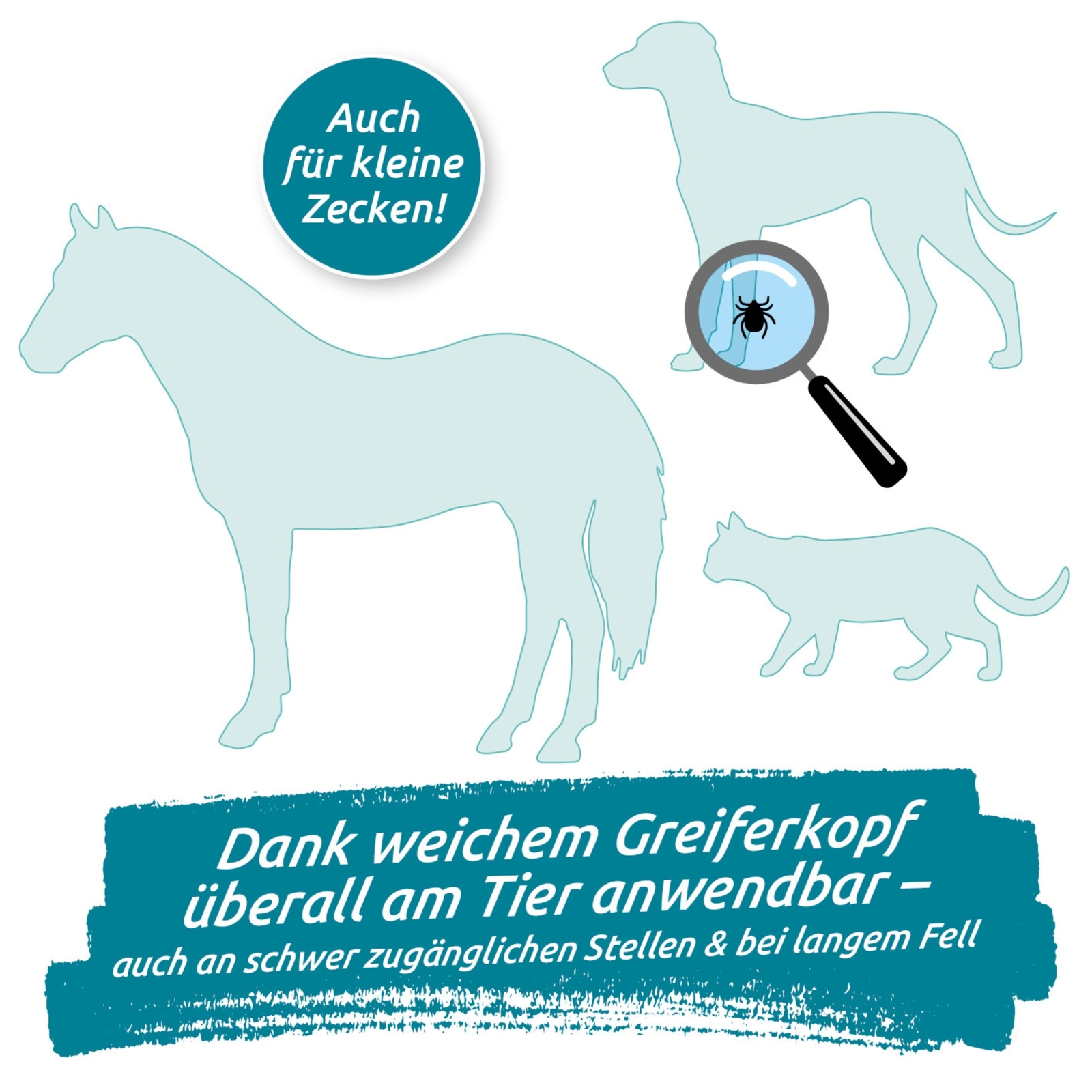 Bild 6 von 8