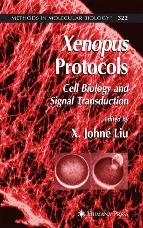 Thumbnail - Xenopus Protocols Cell Biology And Signal Transduction X. Johné Liu