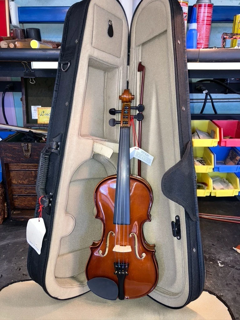 Palatino Acoustic Violins 4/4 Size for sale | eBay