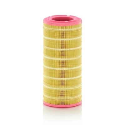 C 17 032 MANN-FILTER Luftfilter