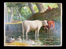 Antique 1879 Moulton & Bradley Boston Victorian Litho Advertising Trade Card