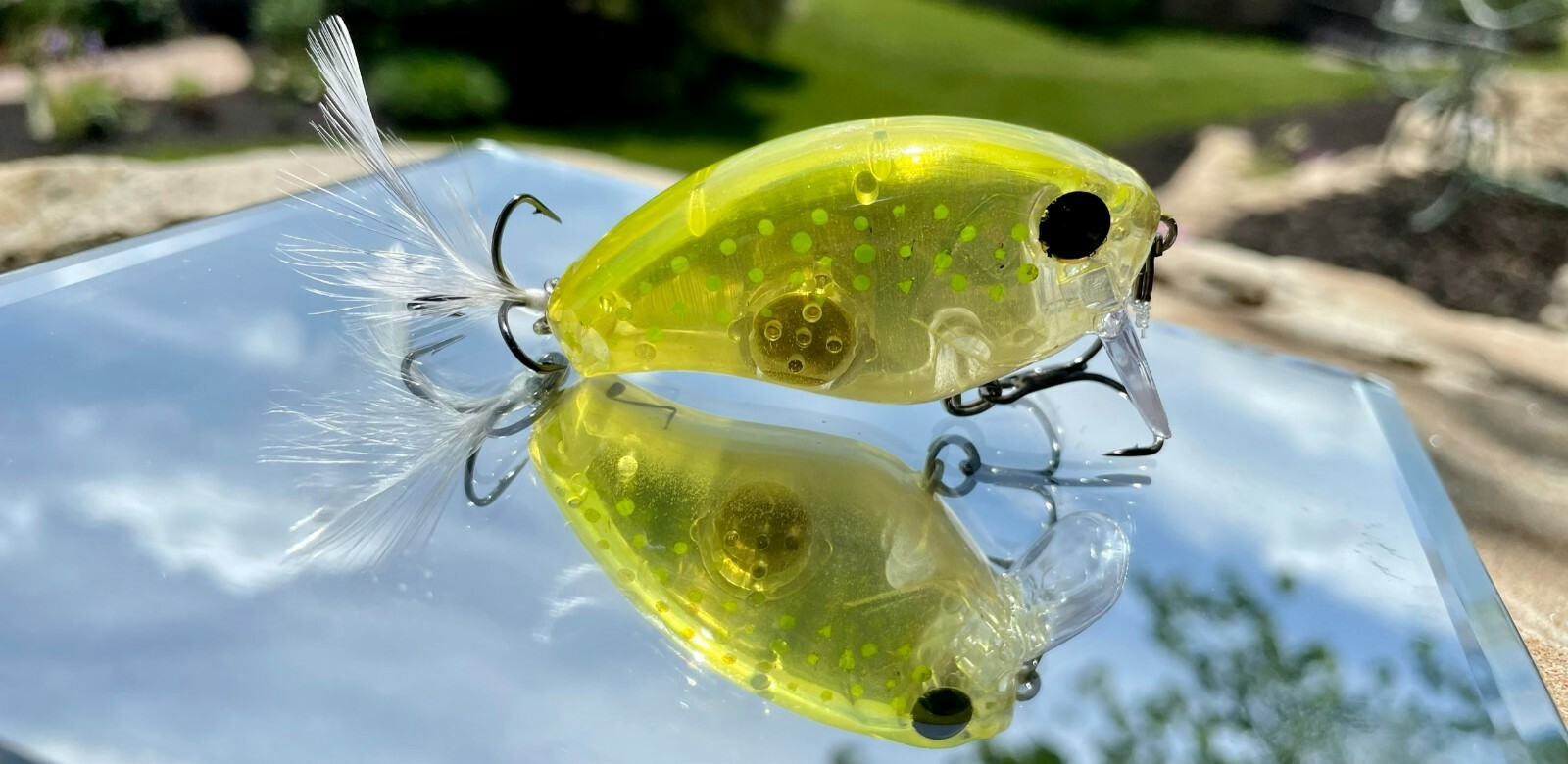 Blazer Baits Combat C6 Wakebait Topwater Fishing Lure-image