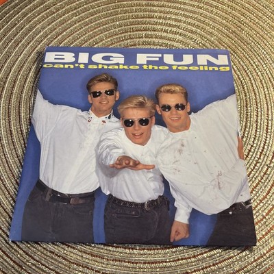 VINYL SCHALLPLATTE 45 GIRI VINTAGE BIG FUN CAN'T SHAKE THE FEELING DON'T SAY IT'S OVER