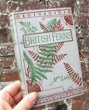 1903 British Ferns- Mrs Lankester Natural History