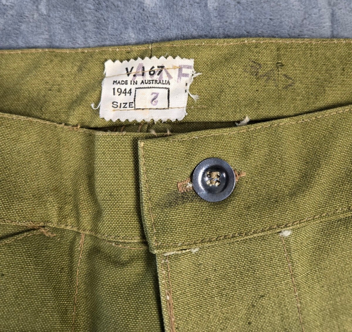 echeveria military shorts ovy サイズ1 echeveria military shorts ovy サイズ1 echeveria military