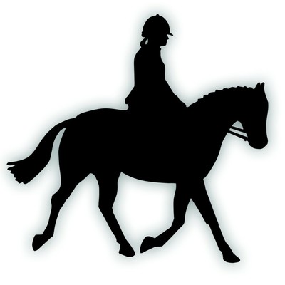 英语西方的乐趣horse 骑手贴花贴纸用于平头钉卡车拖车bk H Ebay