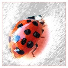 Ladybug Spectacular 12