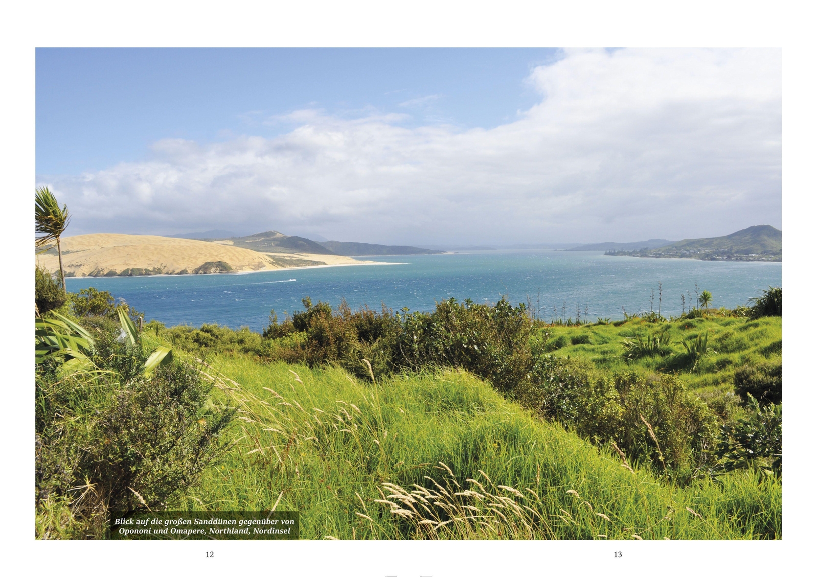 Thumbnail - Neuseeland - Land Der Maori | Claudia Edelmann | Deutsch | Buch | 2020
