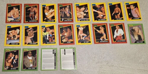 Lot of 20 WCW Impel 1991 Wrestling Trading Cards wwe wwf aew
