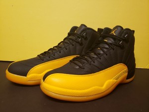 jordan 12 gary payton