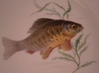 Picture 5 of 7