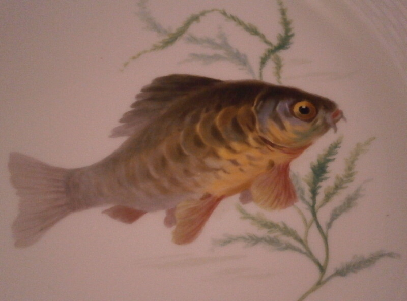 Picture 5 of 7