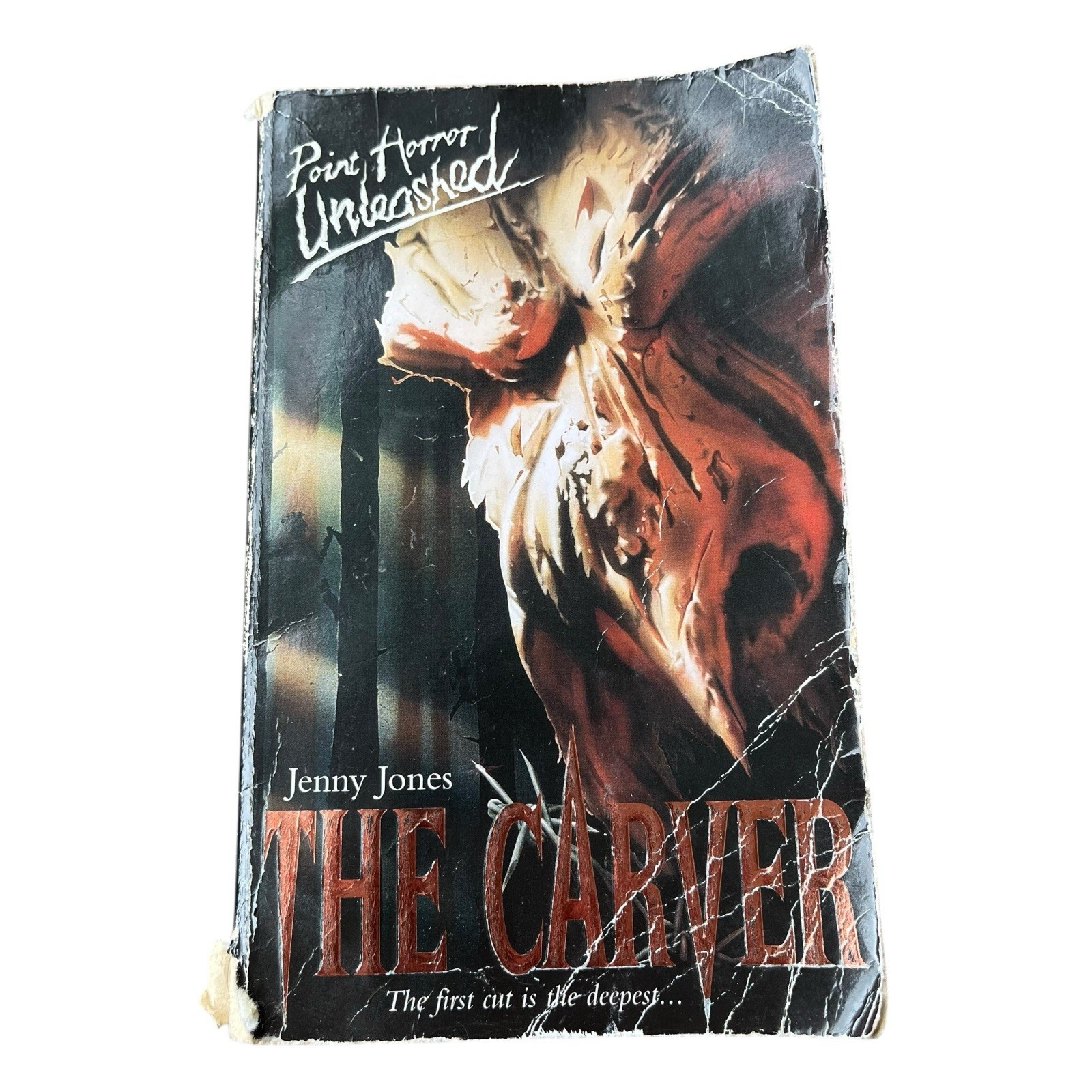 Point Horror Unleashed The Carver By Jenny Jones Paperback