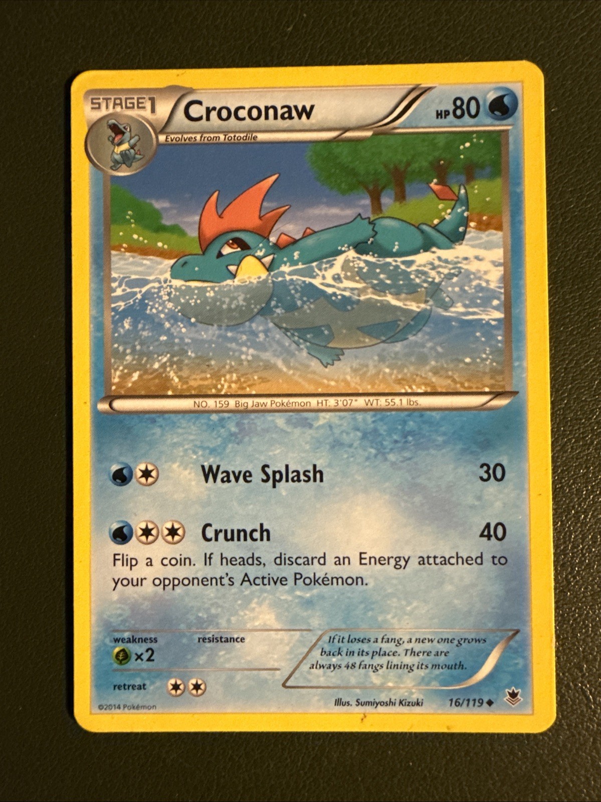 Croconaw 16/119 XY Phantom Forces Regular Pokémon Card TCG HP