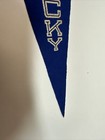 Vintage Kentucky Wildcats University Pennant 8.5x23 Inch Lexington — photo 7