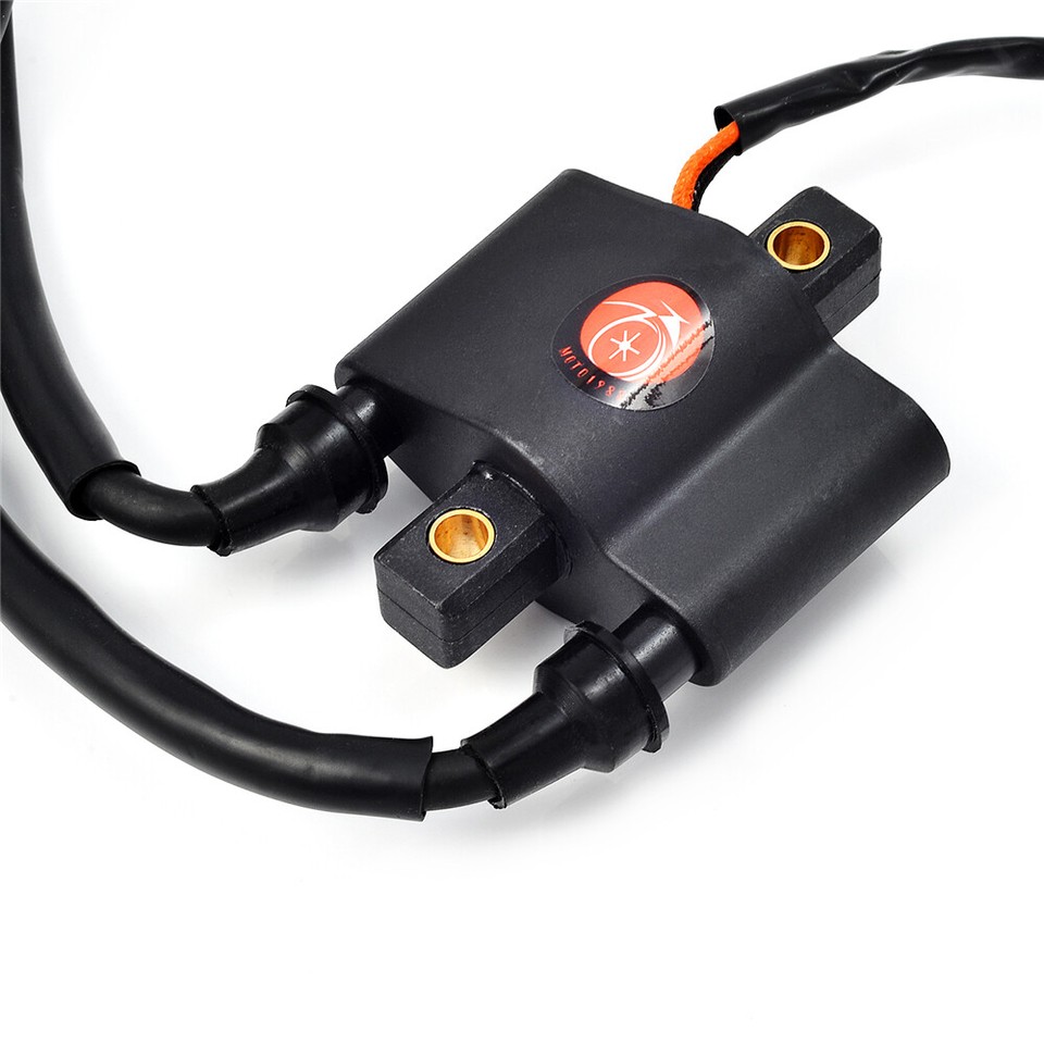 Polaris SPORTSMAN 500 Stator Ignition Coil & Spark Plug For - Foto 10