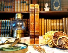L'assommoir 2/2, Emile Zola, Fasquelle, livre ancien relié cuir, non daté