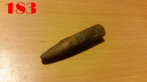 2x Große BELEMNITEN / Donnerkeile 40 mm Versteinerung Fossilien Millionen Jahre - Bild 15 von 24