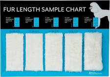 Master Grooming Tools Hair Length Sample Chart White 