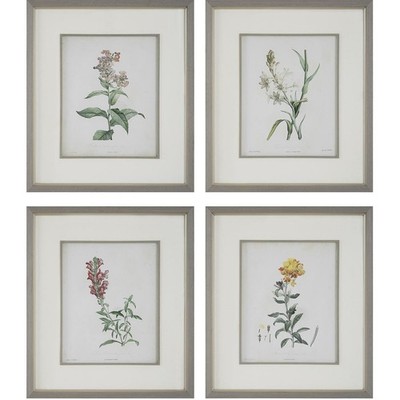 Uttermost 32285 Heirloom Blooms 30.38 X 26.38 inch Framed Prints, Set of 4