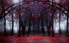 Landscape trees fall symmetry forest plants Custom Gaming Mat Desk