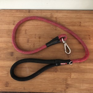 cheap flea treatment