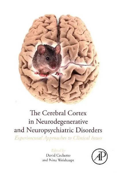The Cerebral Cortex In Neurodegenerative And Neuropsychiatric Disorders Buch-image