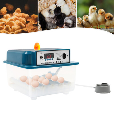 Egg Incubator Automatic Chicken Quail Chick Hatcher Incubators for Hatching Eggs