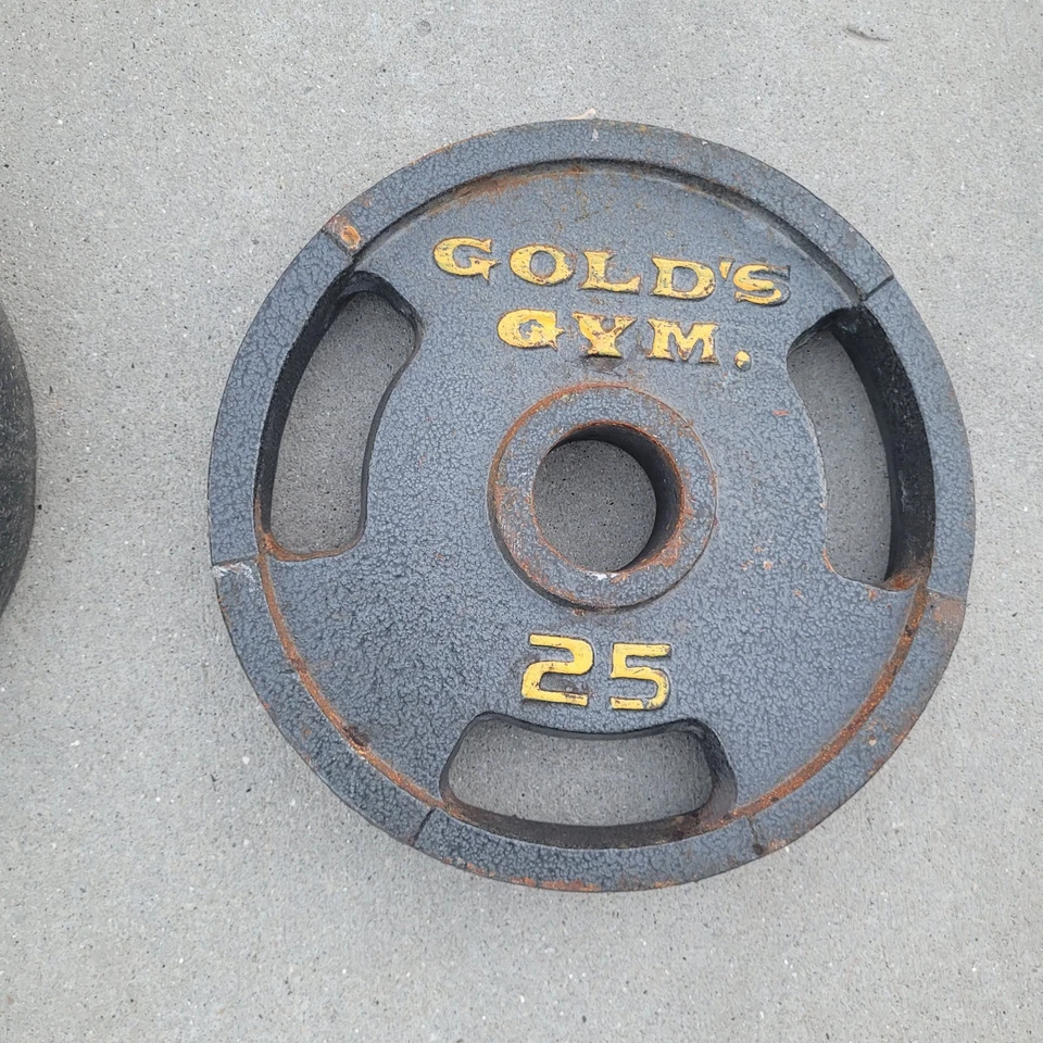 Par de placas de peso Gold's Gym de hierro fundido de 25 libras tamaño olímpico - 50 lb en total Foto 3 de 4