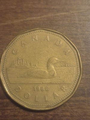 1988 Canadian Loonie 1 dollar coin in excellent