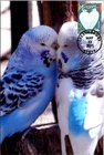 Dr Jim Stamps 2011 Garden Of Love Birds First Day Issue Photo Paper Card