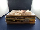 Vtg Lot (25) Classic Rock Country LPs Sinatra Elvis Cash Pride Beatles Twitty++