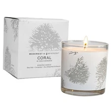 Coral Art-Inspired Scented Candle | 9oz Soy Coconut Wax Blend | 55-Hour Burn | 