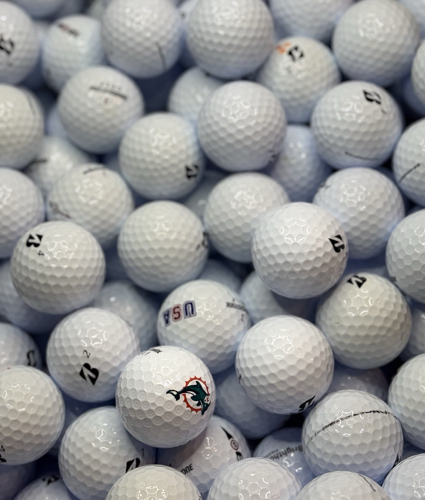 48 Bridgestone E6 Golf Balls Mint 5/4A Free Shipping