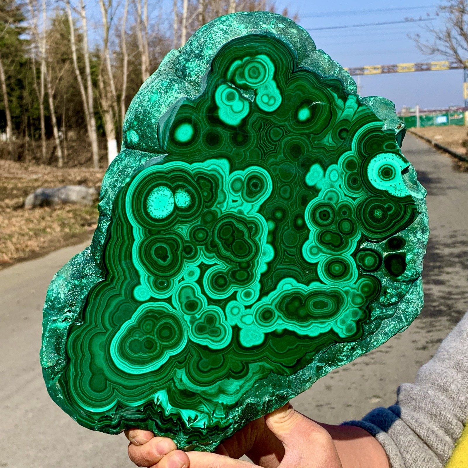 18.26LB Natural glossy Malachite transparent cluster rough mineral sample
