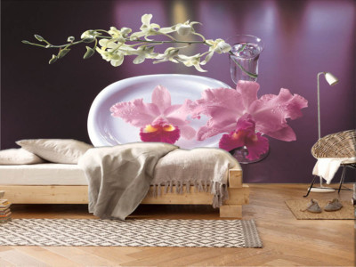 Cozy Novel Glass 3D Full Wall Mural Photo Wallpaper Printing Home Kids Decor