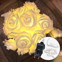 Cozyhome Led Lichterkette Rosen Stecker - 5 Meter & 20 Blumen Led I Warmweiß